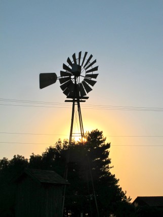 Windmill, Shattuck, Oklahoma