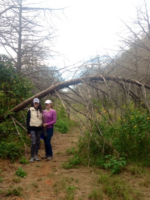 We hiked. We got lost. We found our way back. 